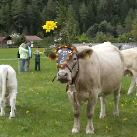 Apartment Haus Cornelia