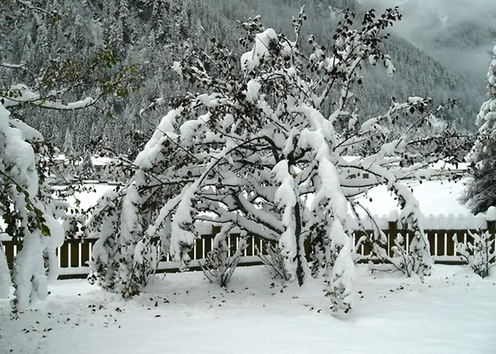 公寓 科妮莉亚公寓 马尔尼茨