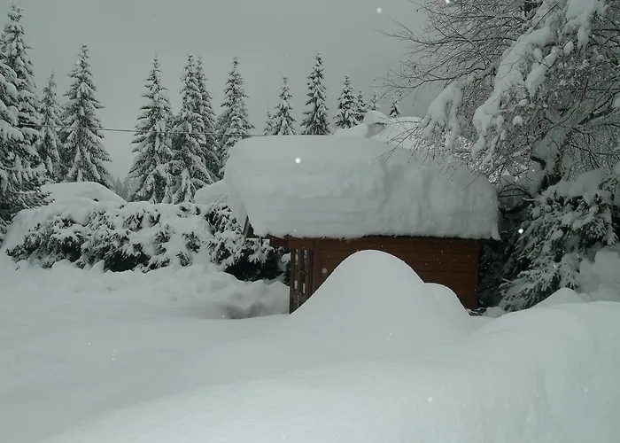 科妮莉亚公寓 马尔尼茨